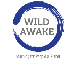 Wild Awake logo